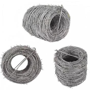 product-354-354 product-354-354